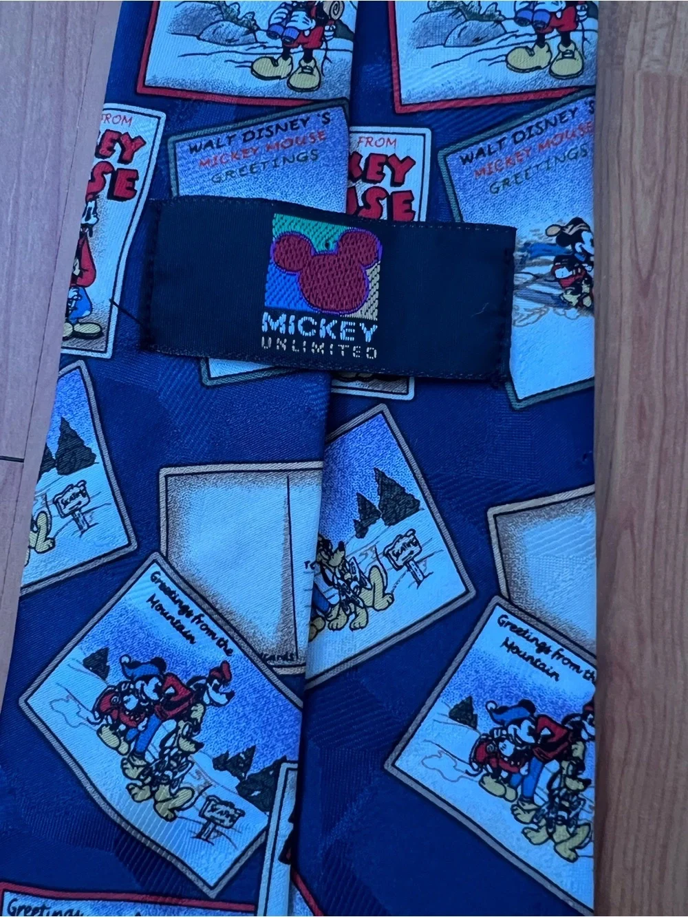 Mickey Unlimited whimsical travel